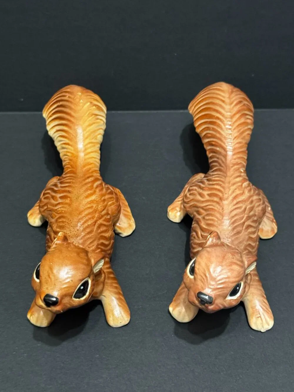 N/A norcrest squirrel